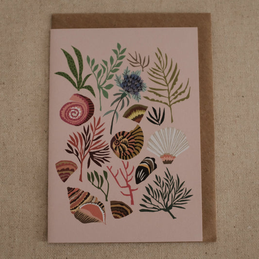 Brie Harrison Shells & Seaweed Greeting Card Gift Card