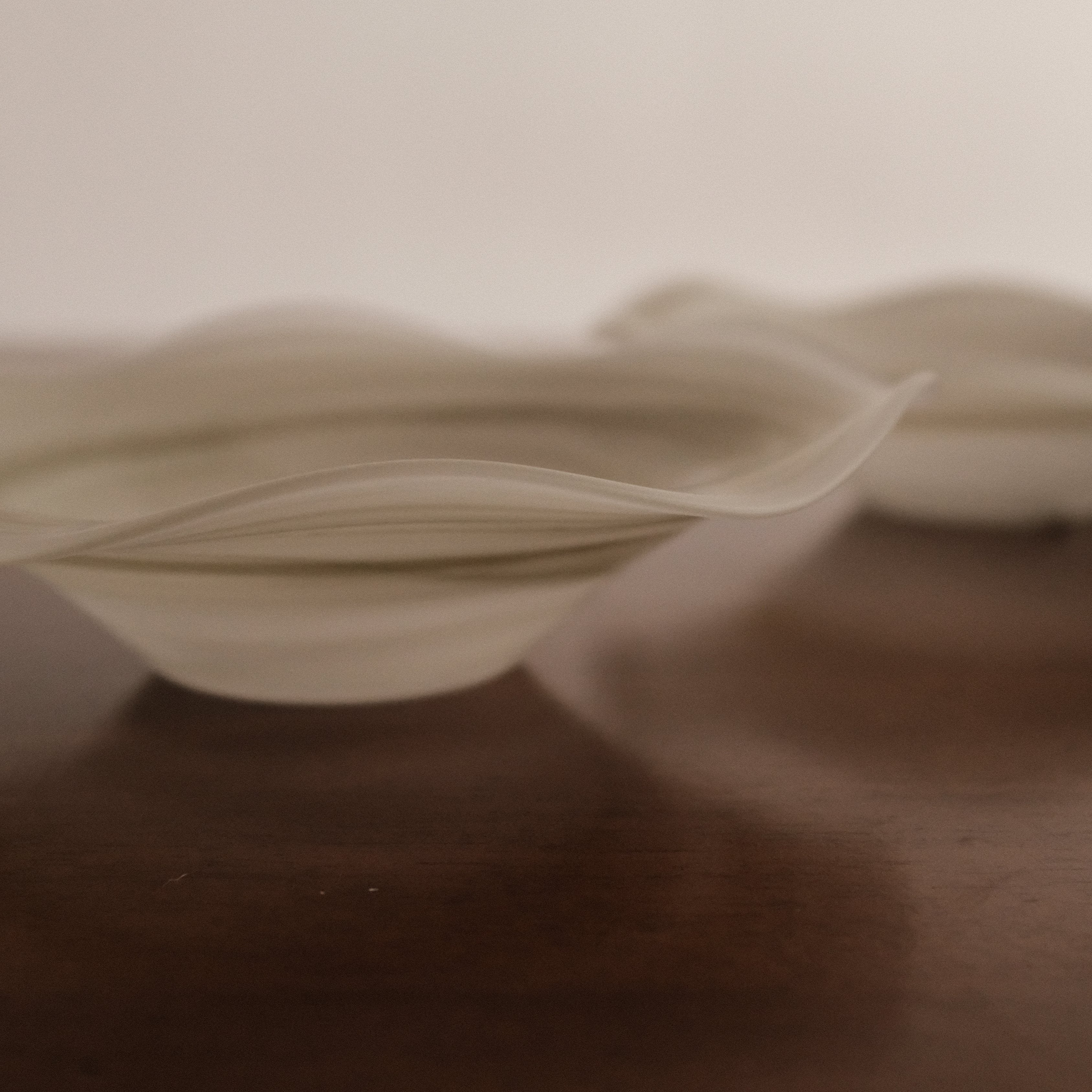 ESME Handmade Wavy Round Frosted Glass Cosmic Deep Plate Moss Green