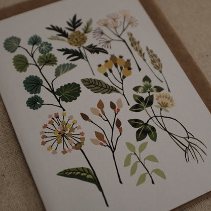 Brie Harrison Hedgerow Greeting Card Gift Card