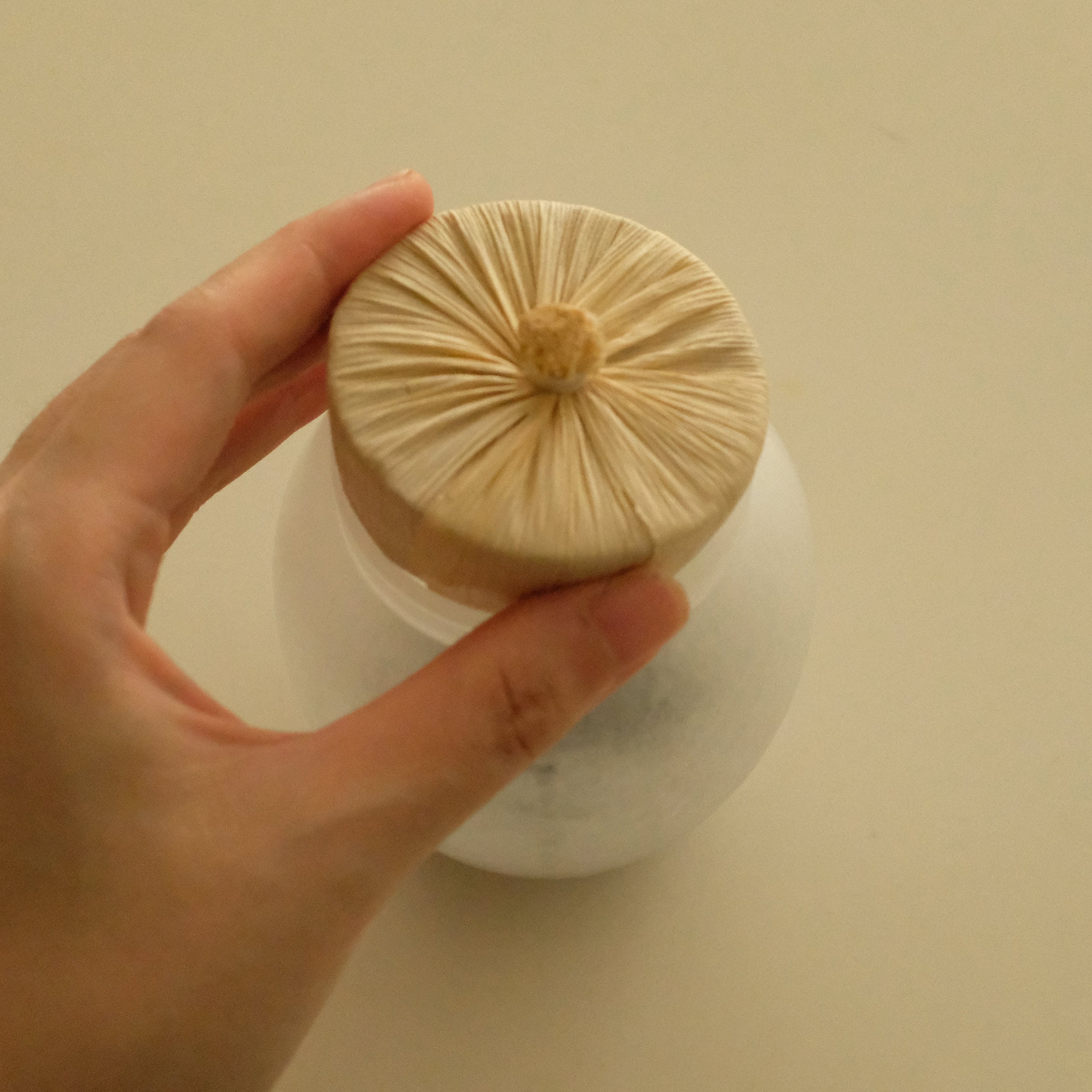 A hand holding the lid of a white jar, which features a round beige fabric saucer with radiating stitched lines and a small wooden knob in the center, set against a plain beige background.