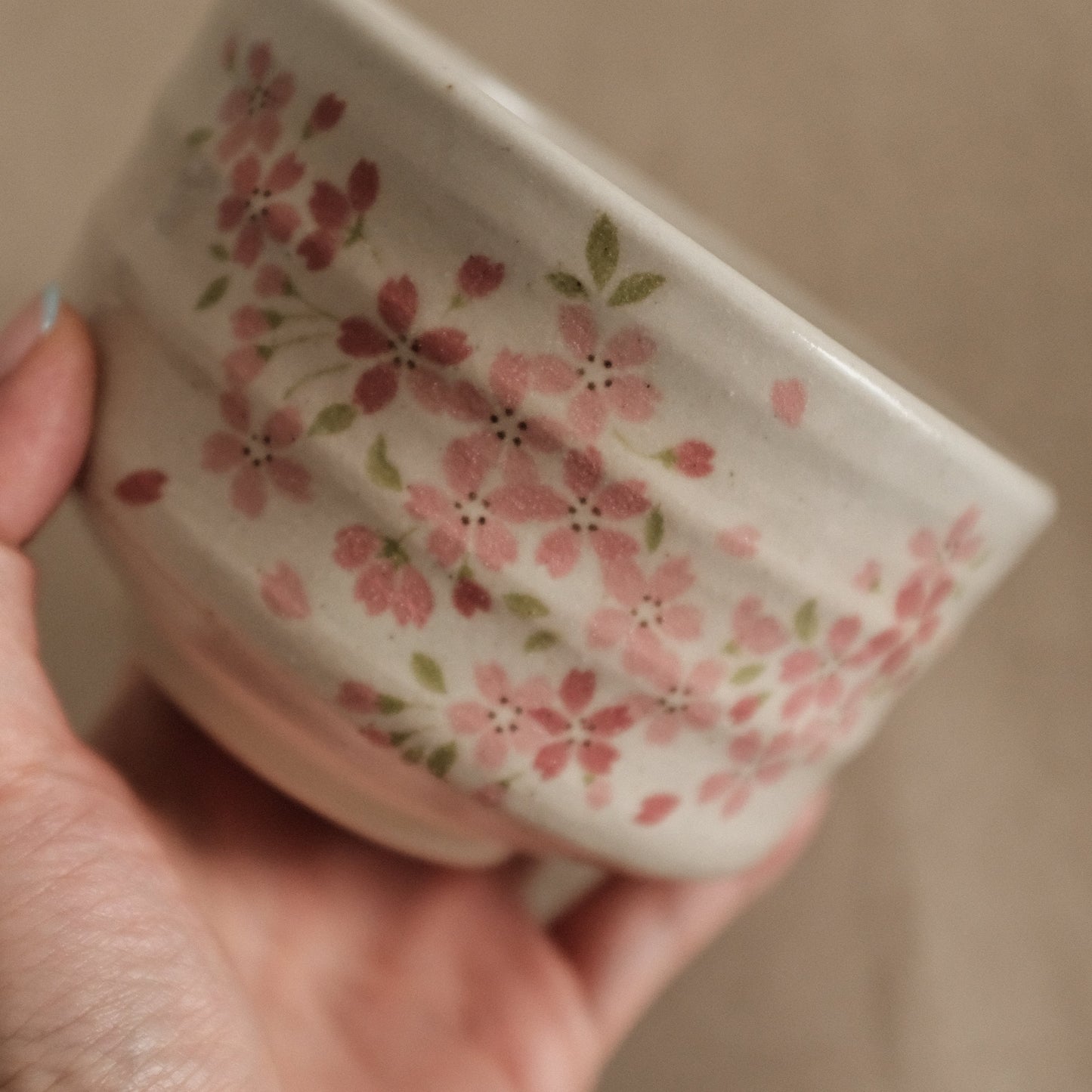 Hatsuichi Japan Spring Sakura Cherry Blossom Chawan Matcha Bowl Tea Bowl Japan Minoware