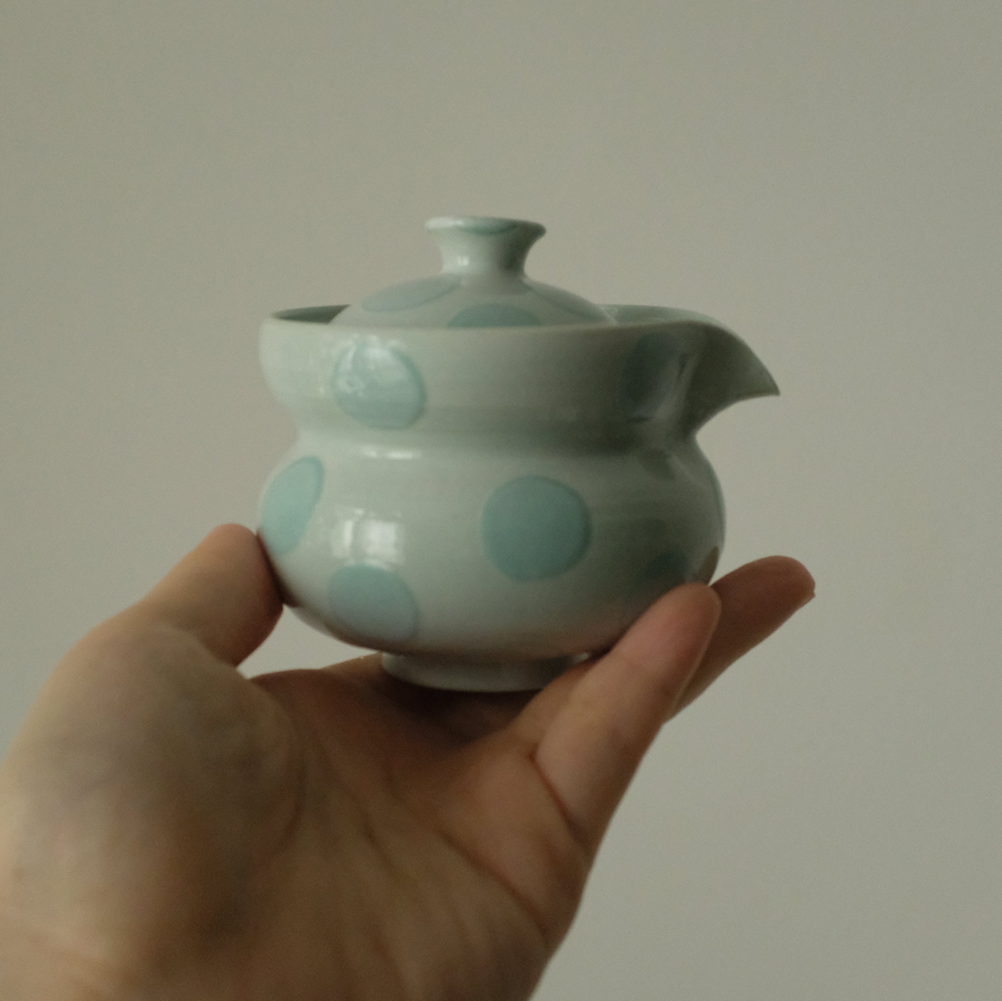 Yang Handmade Hohin Handless Teapot Tea Cup Porcelain Tea Set Ice Blue Polka Dots