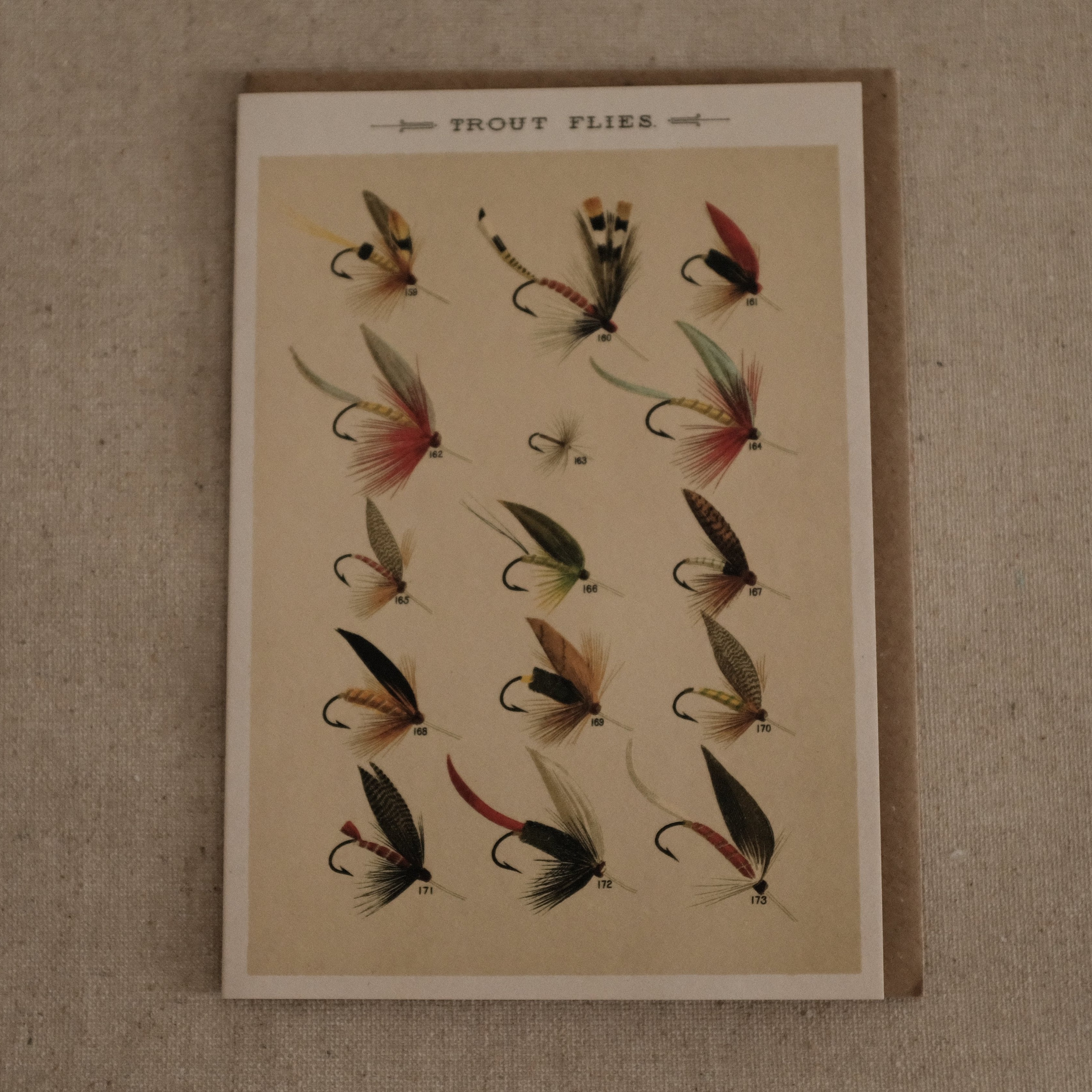 The Pattern Book Press Favorite Flies Trout Flies Greeting Card Gift Card