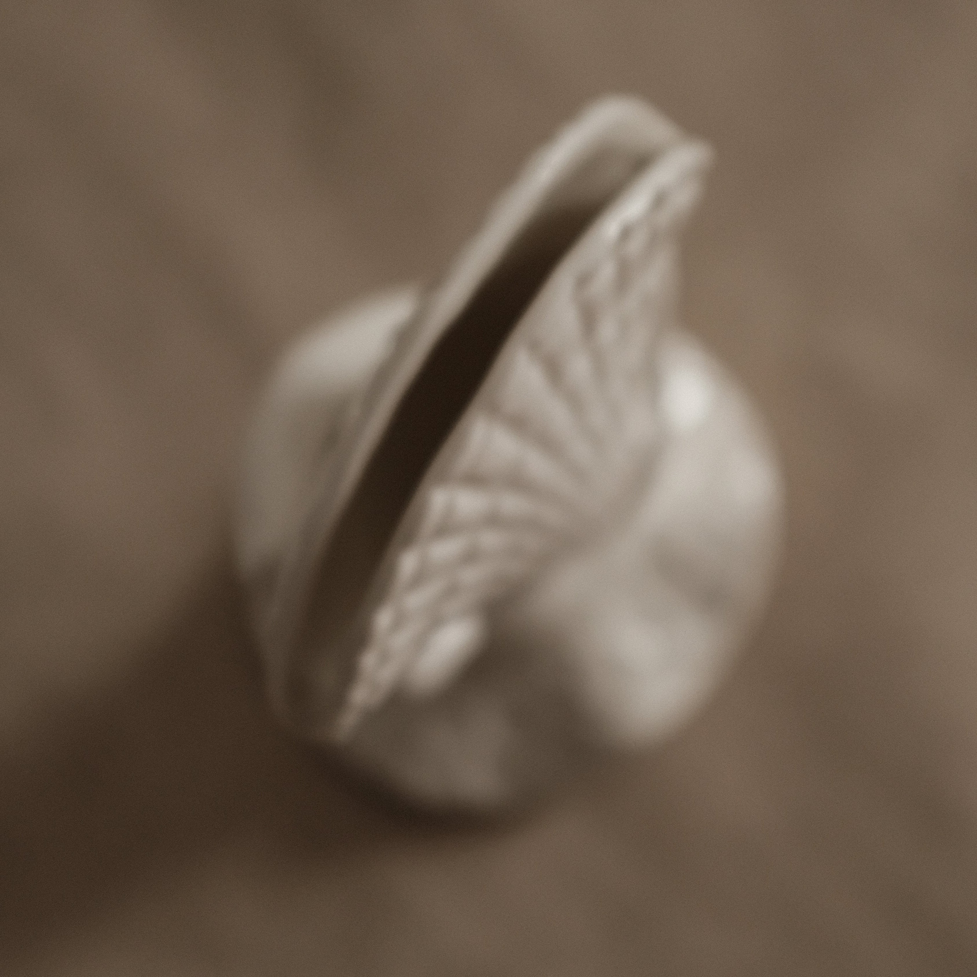 MARELLA French Retro Grasp of Sea Shell Ceramic Flower Vase Card Holder Tissue Holder