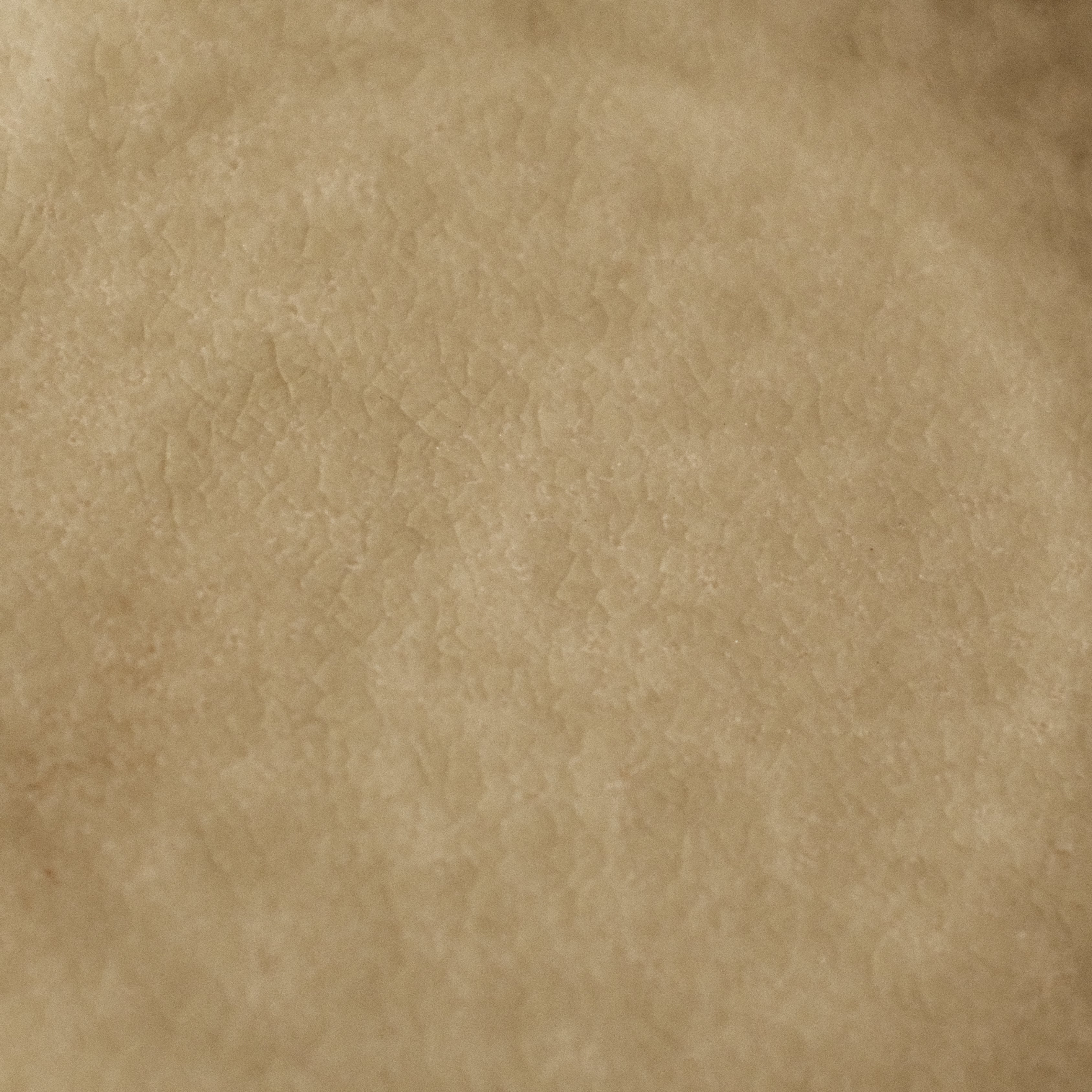 Gozan Kiln Waka Yanagi Willow Hana Flower Shape Flat Plate