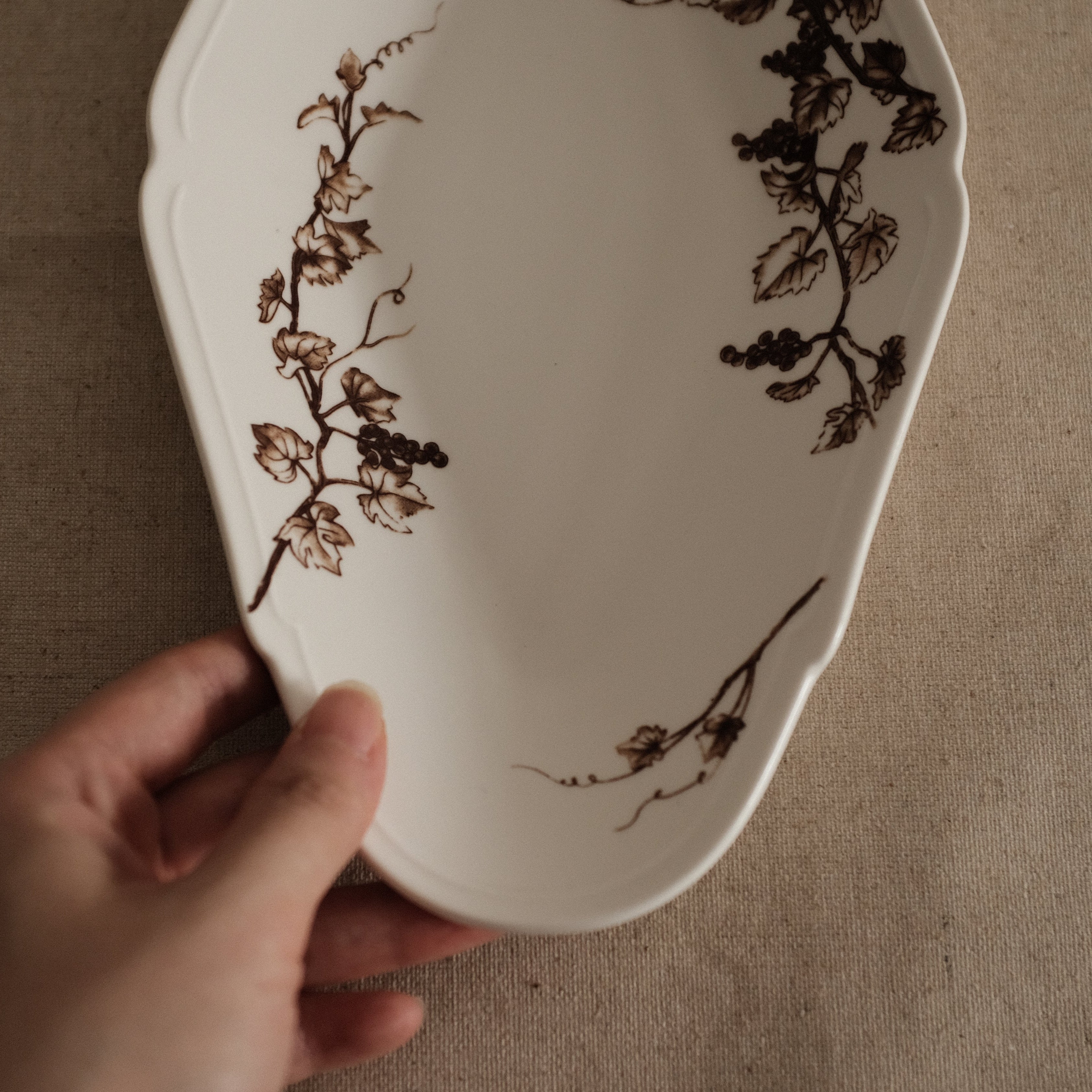Studio M' Japan Vigne Plate Brown