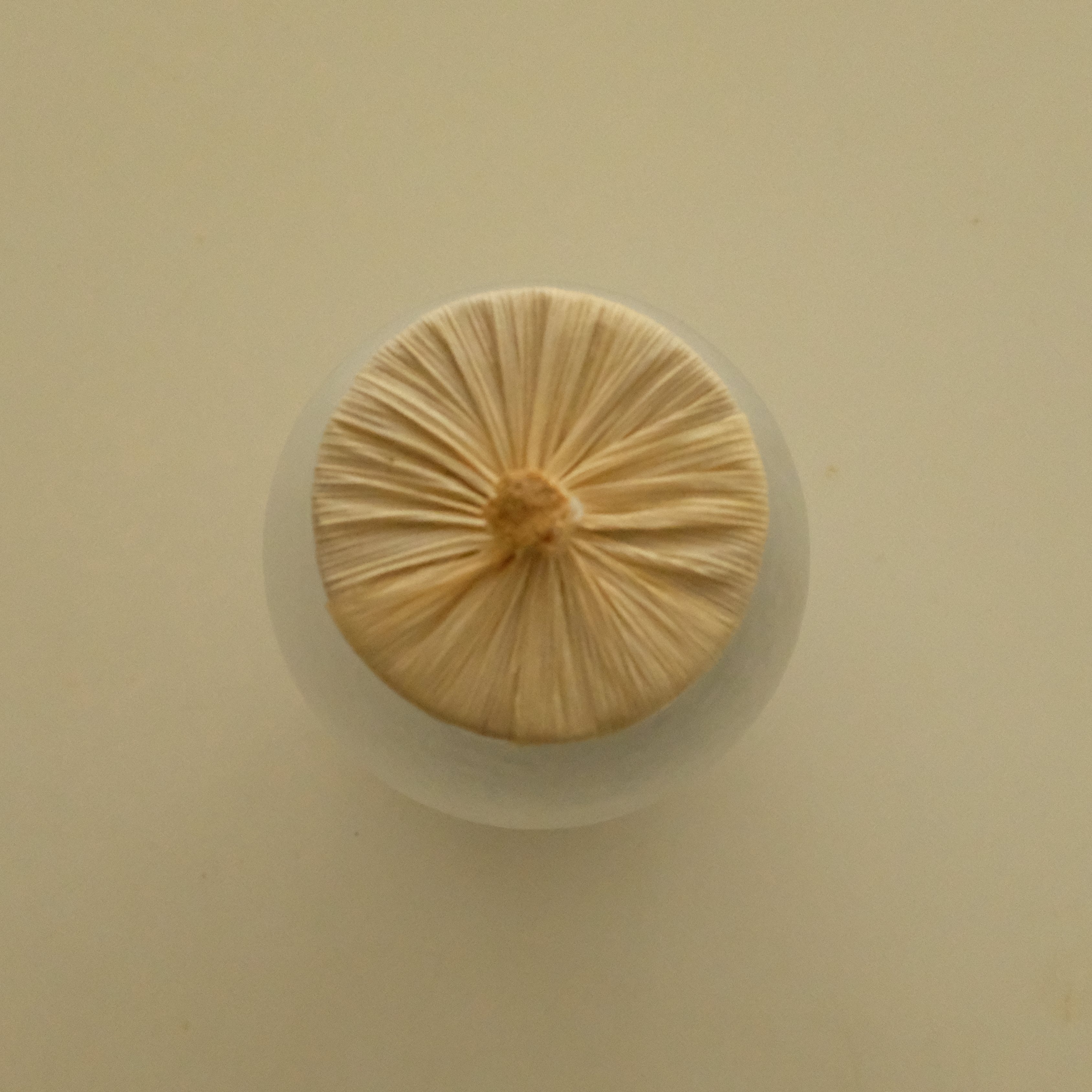 A round, light beige textured item with a gathered center, resting on a small white circular base against a solid cream-colored background.