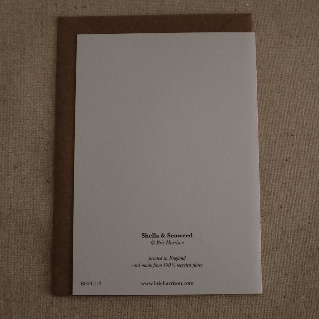 Brie Harrison Shells & Seaweed Greeting Card Gift Card