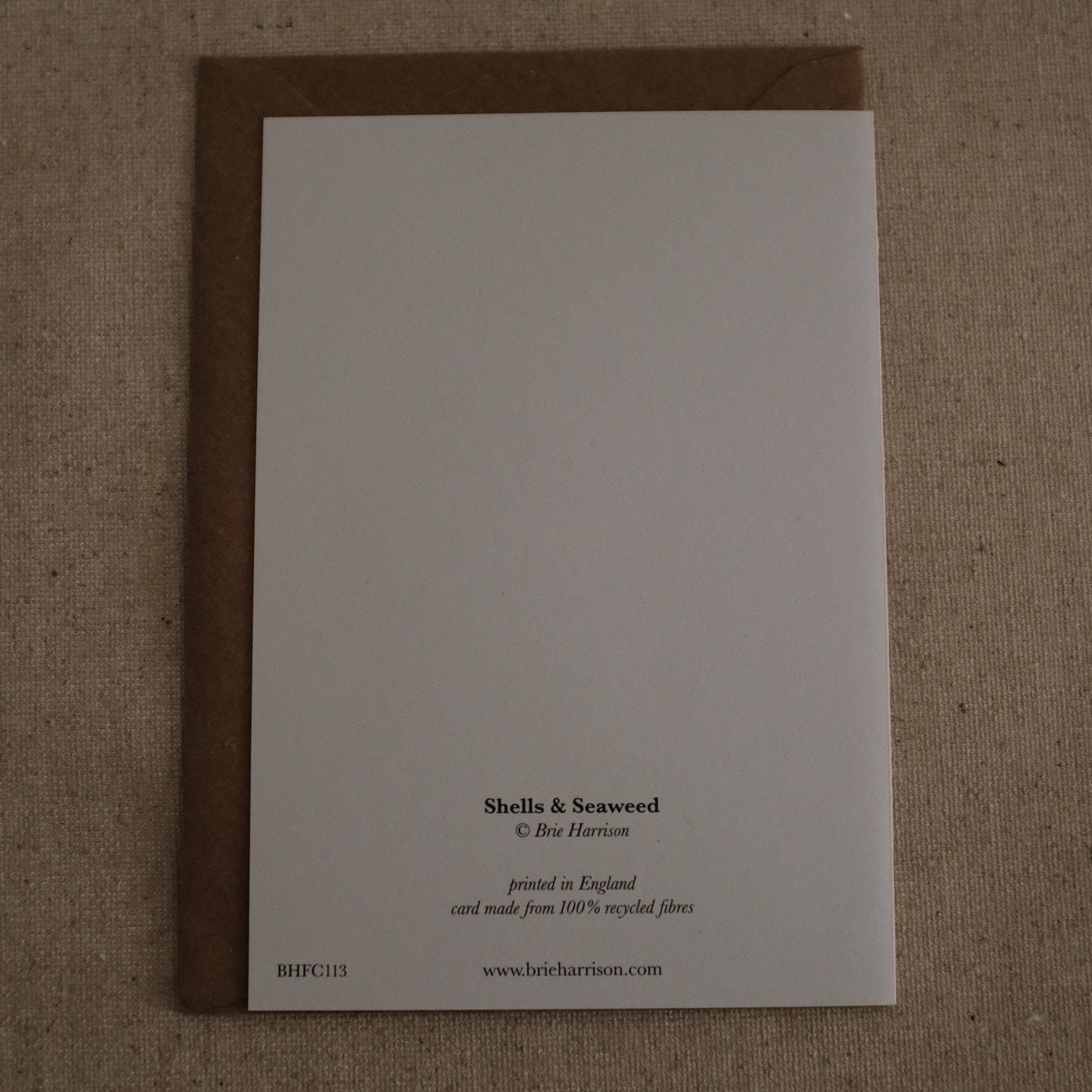 Brie Harrison Shells & Seaweed Greeting Card Gift Card