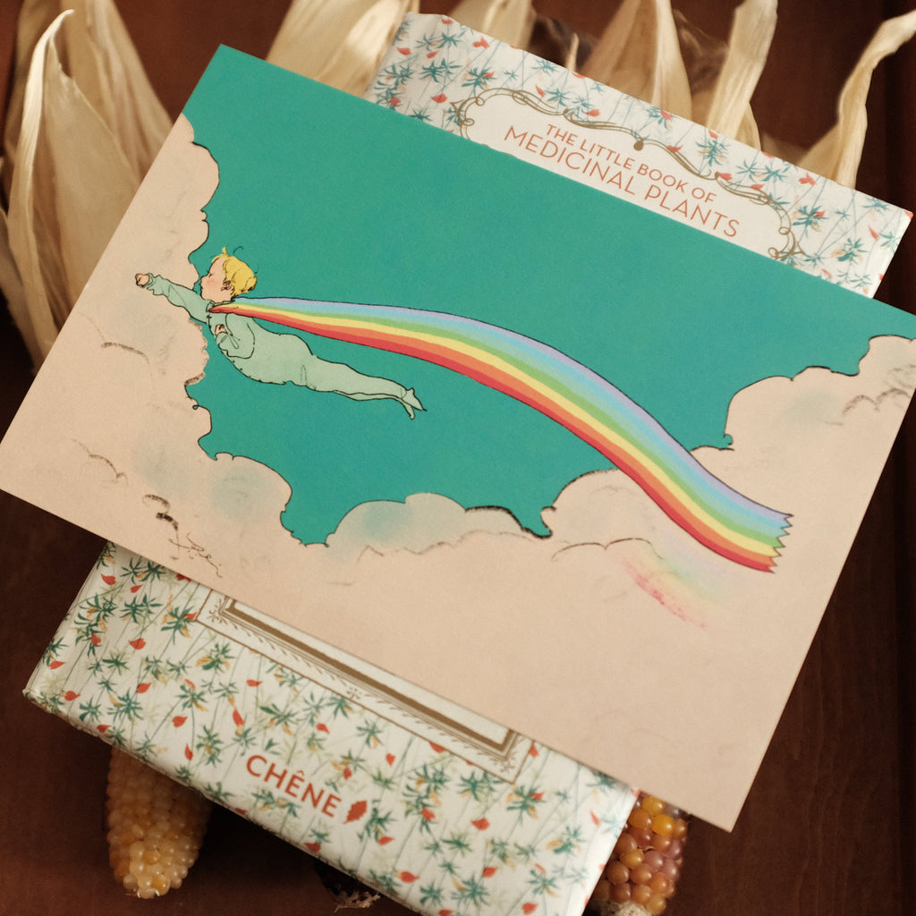 Kurahashi Rei Rainbow Maker Postcard