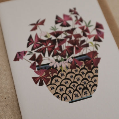 Brie Harrison Oxalis Greeting Card Gift Card