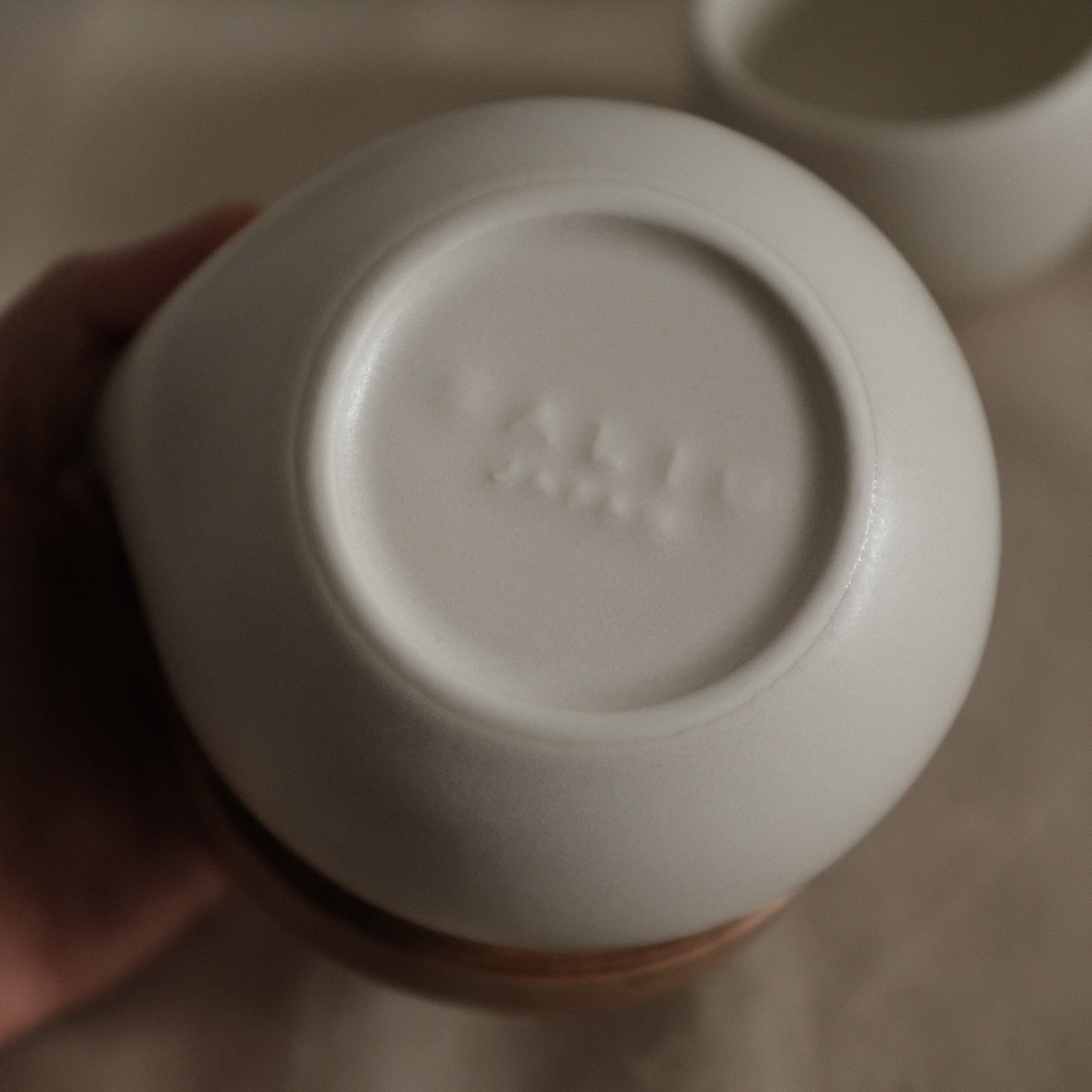 Saliu Japan Yui White Teapot Gift Set Minoware