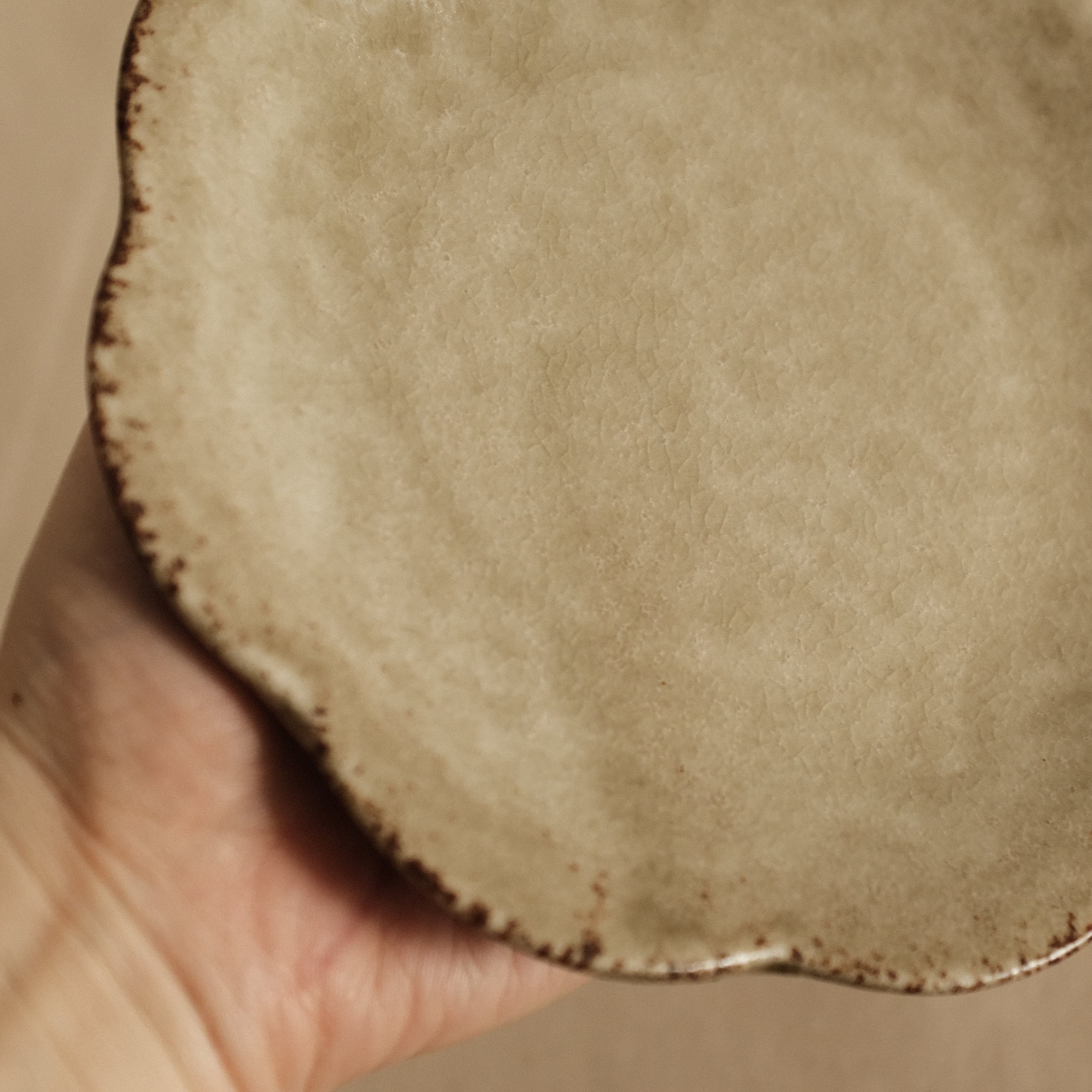 Gozan Kiln Waka Yanagi Willow Hana Flower Shape Flat Plate