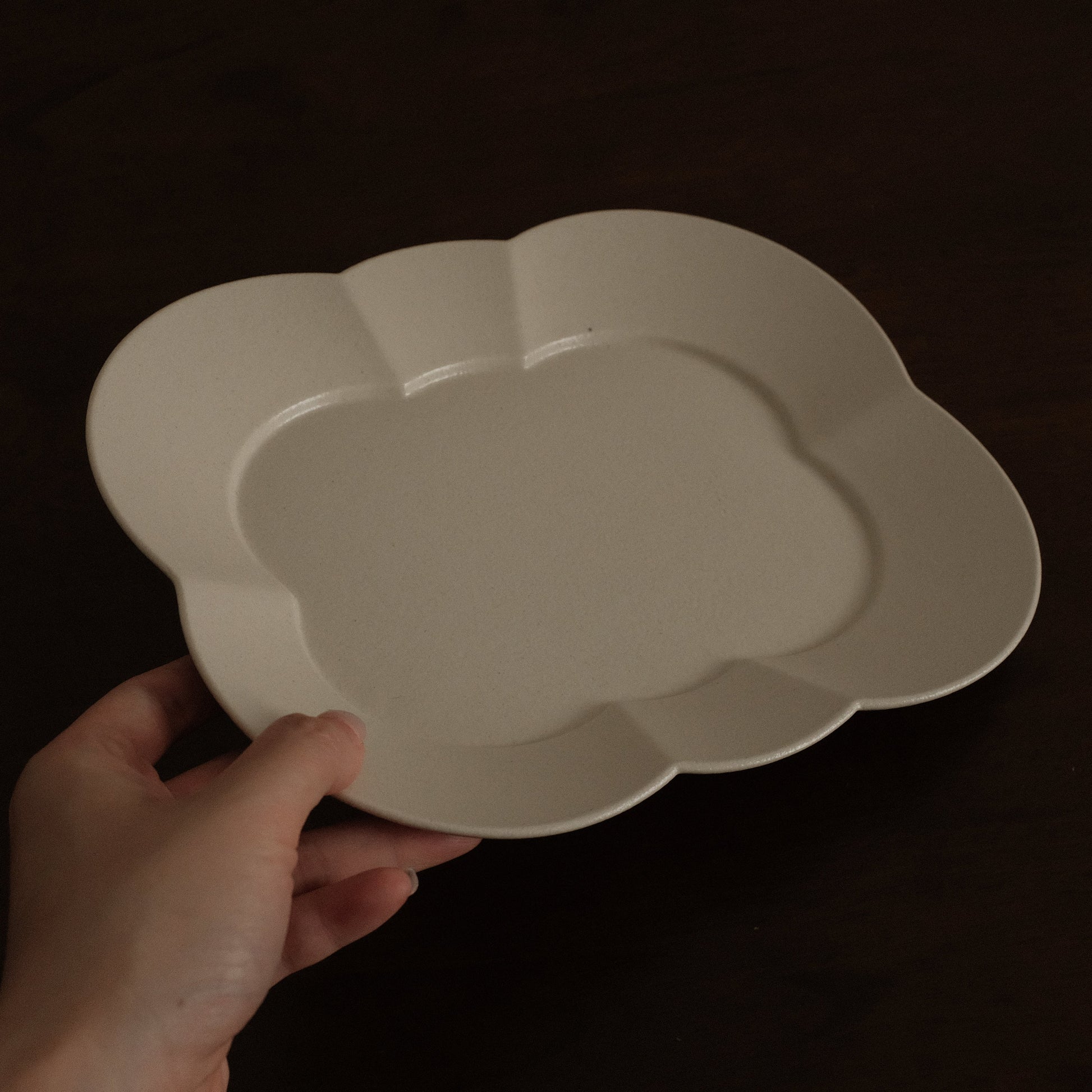 Hand holding a white ceramic plate against a dark background
