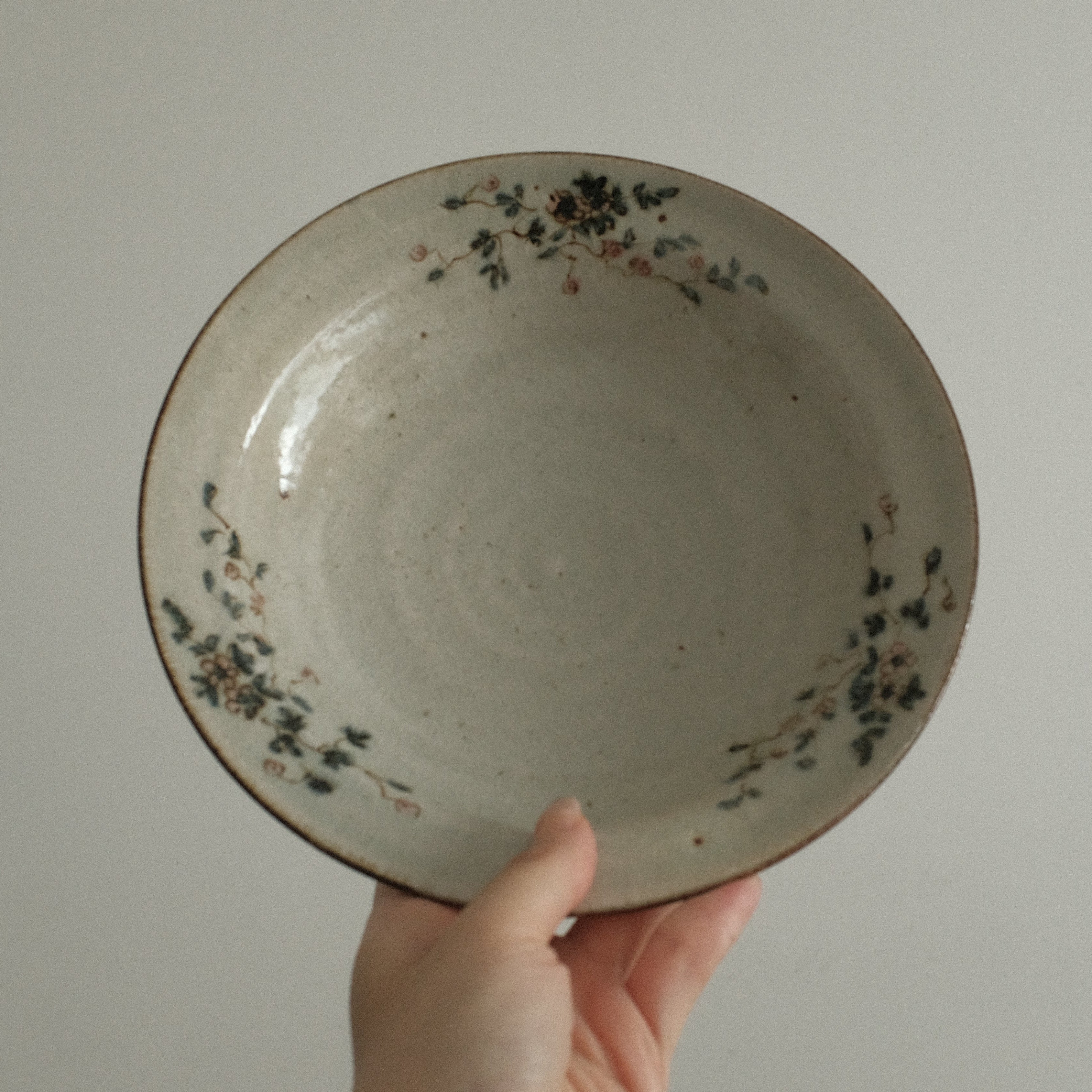 Ceramic plate with floral patterns held by a hand against a plain background