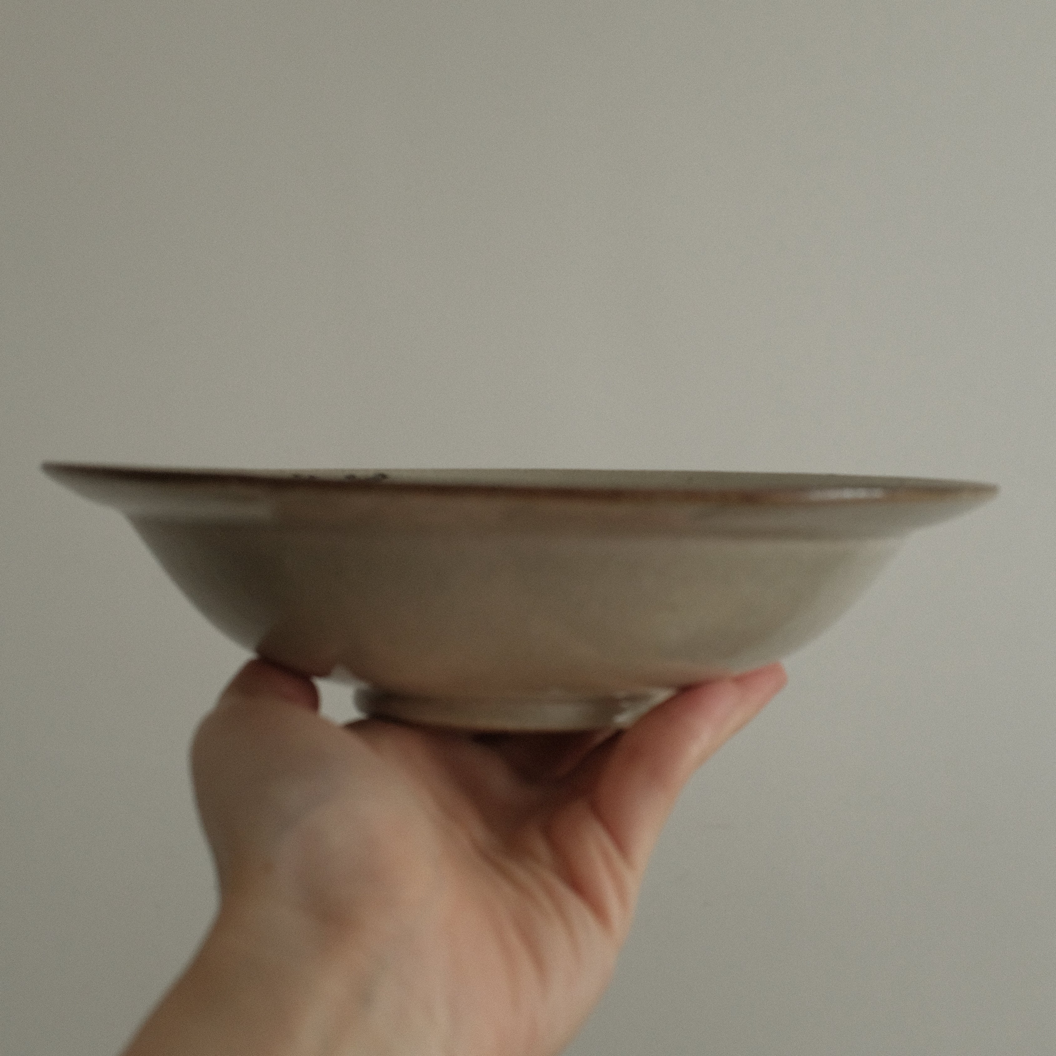 


Hand holding a ceramic bowl against a plain background