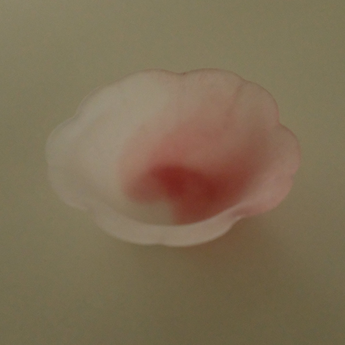 Aika Japan X Iwasawa Glass Honoka Handmade Small Edo Glass Bowl Cherry Blossom