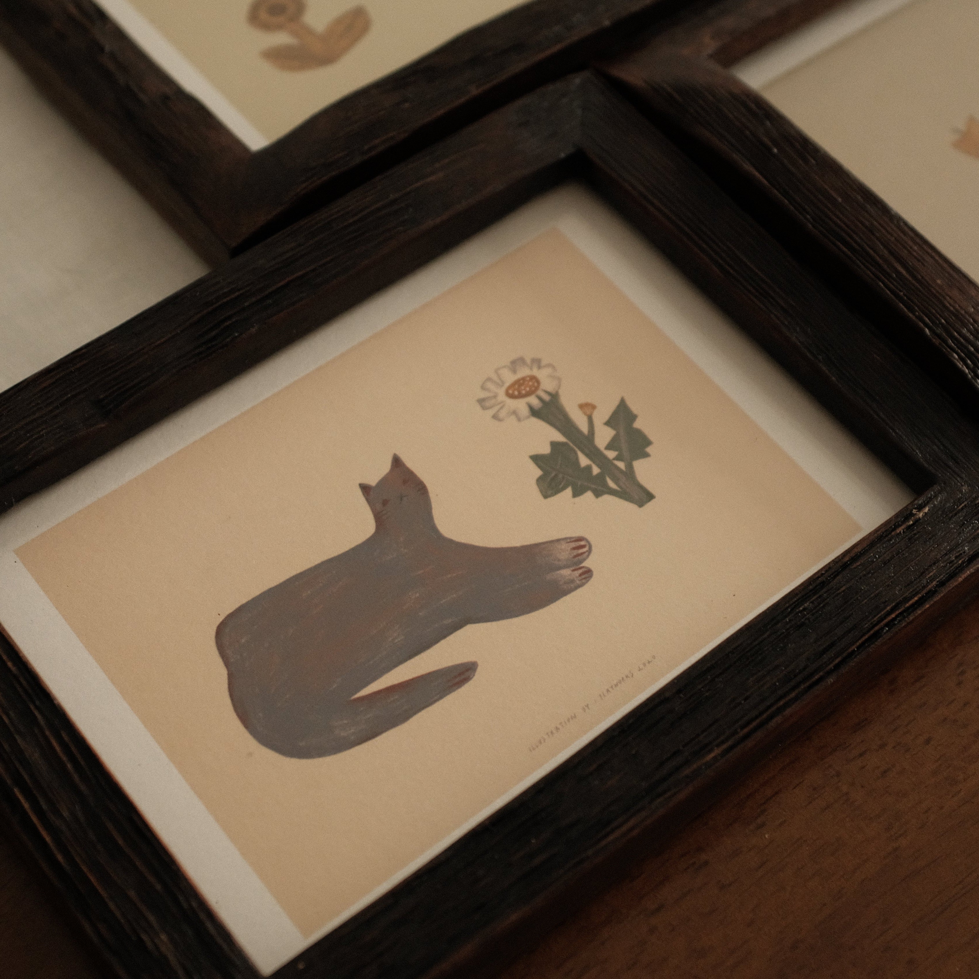 Set of teak wood frame illustration lied flat on surface 