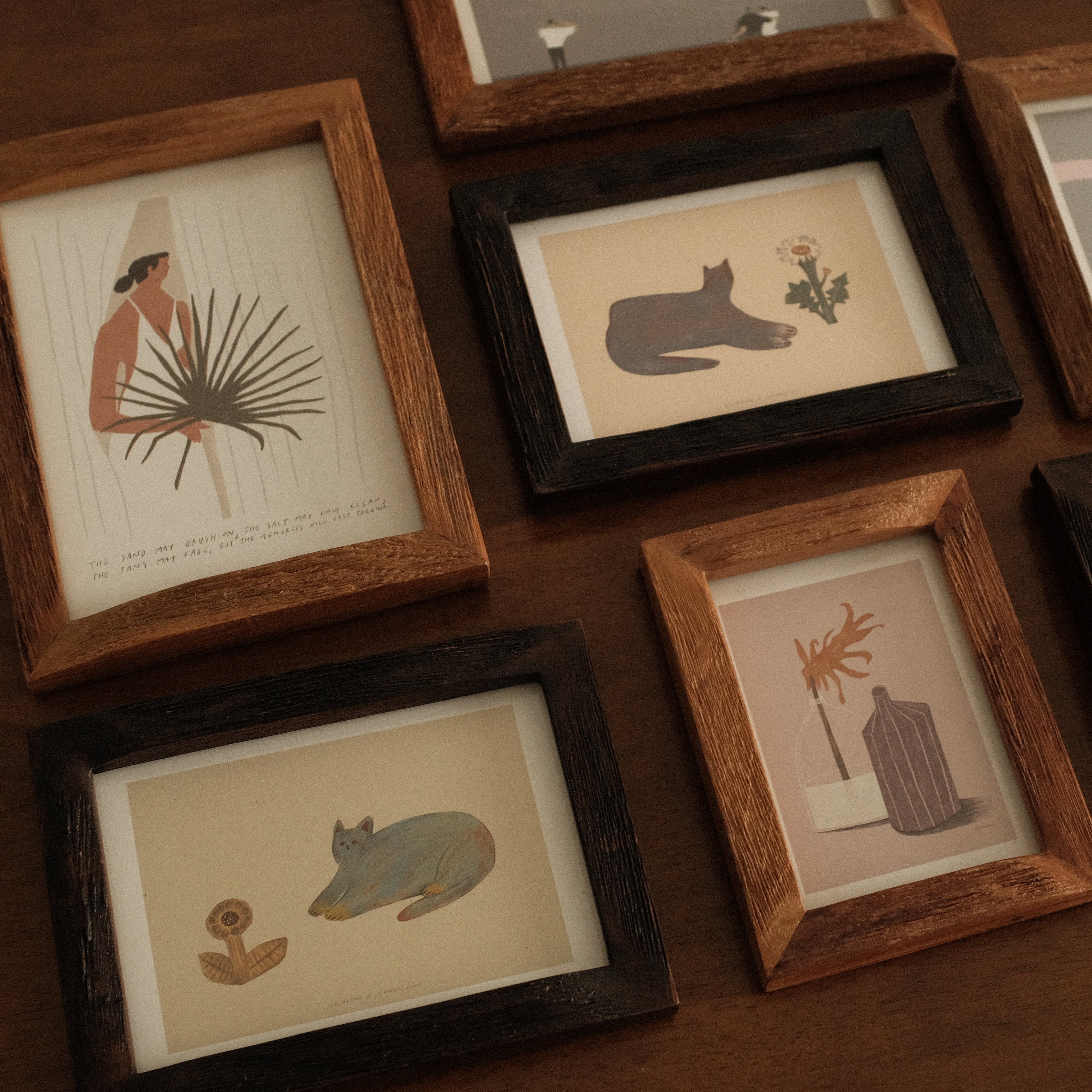 Collection of framed illustrations on a wooden surface