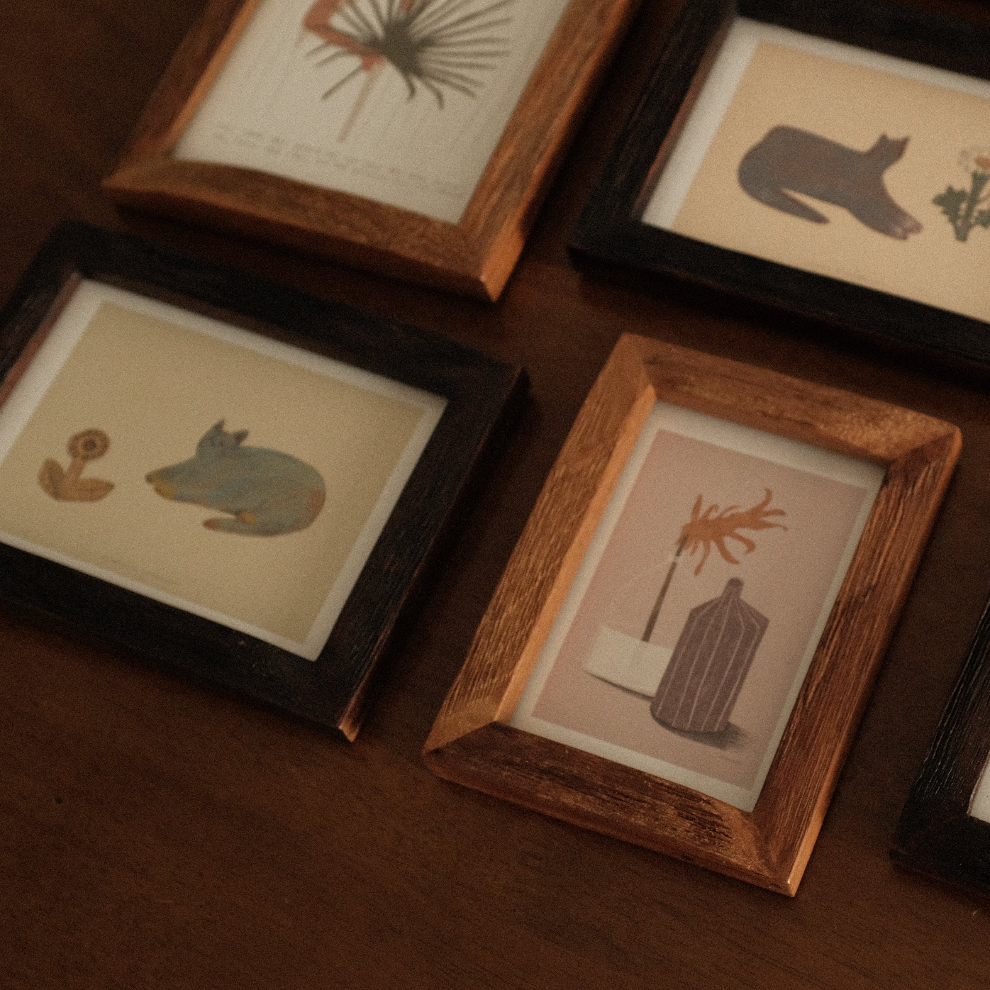 Petites Histoires Vintage Aged Teak Wood Photo Frame Blue Cat with Yellow Sunflower