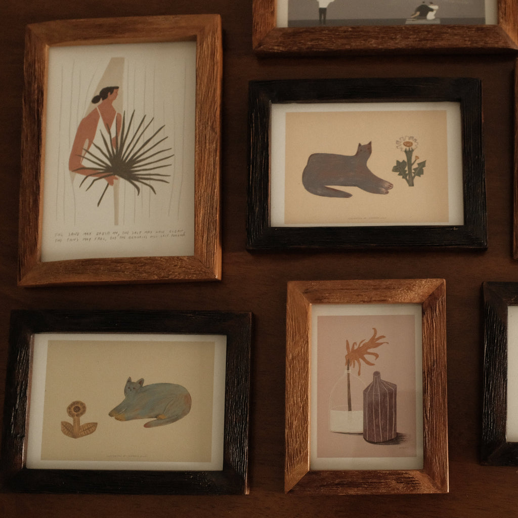 Collection of framed illustrations on a wooden wall