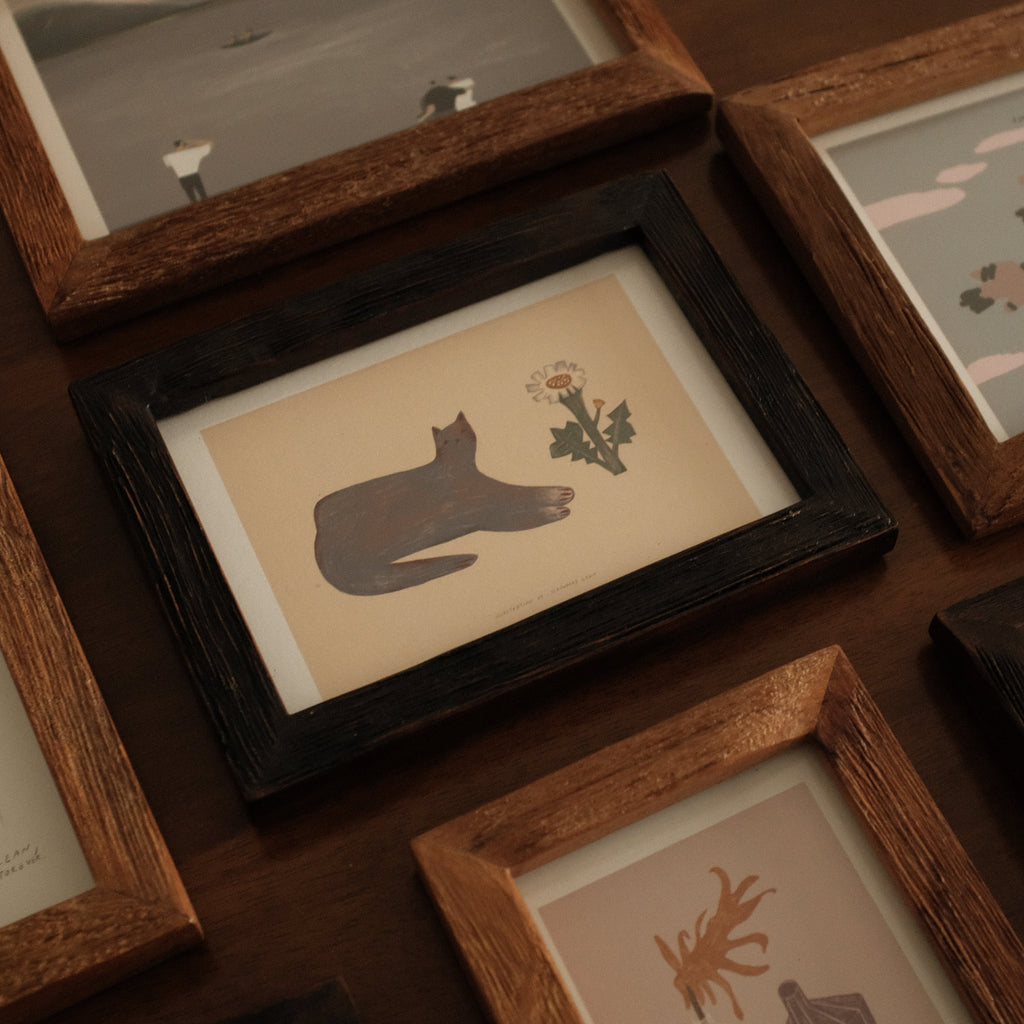Collection of framed illustrations on a wooden wall 