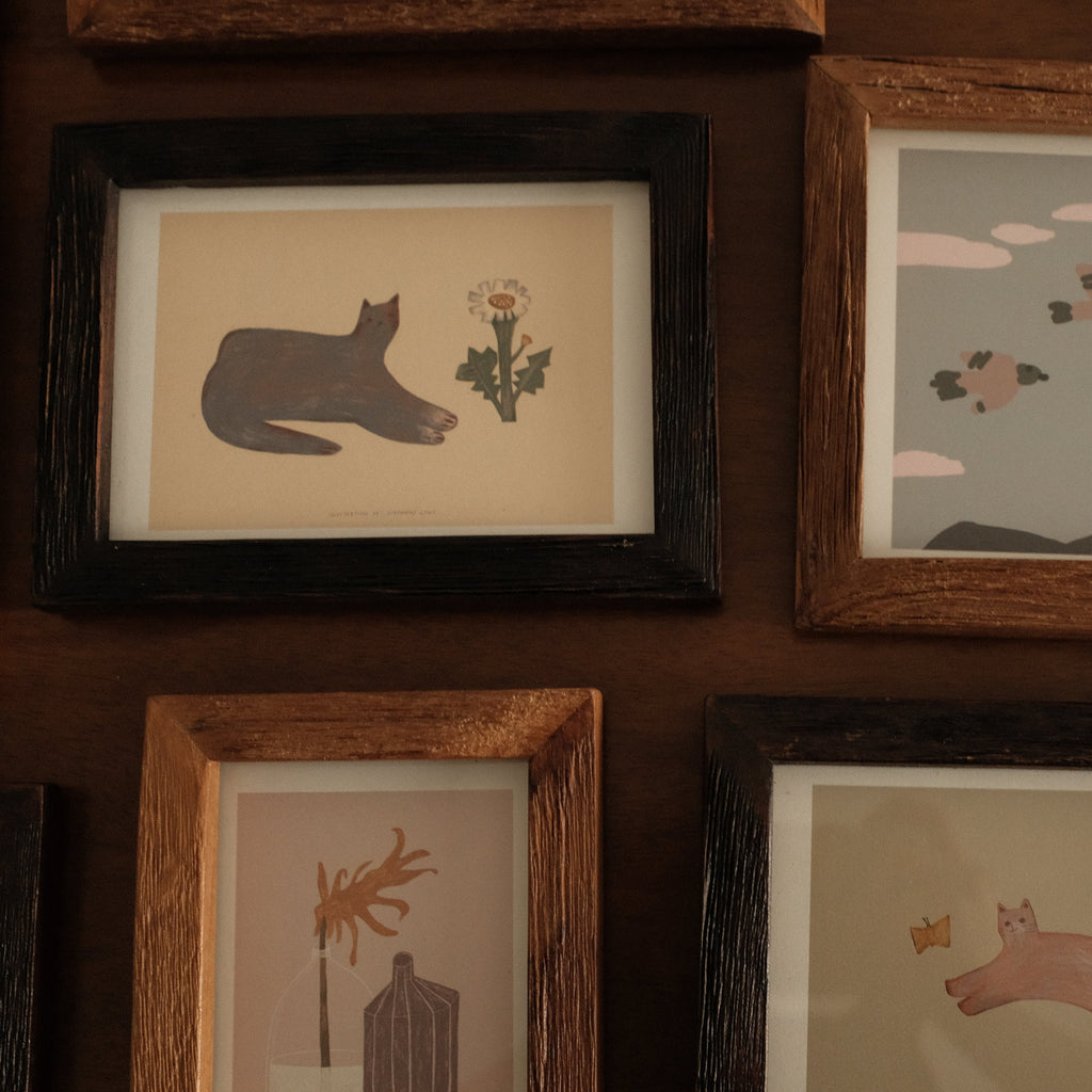 Collection of teak wood framed illustrations on a wooden wall