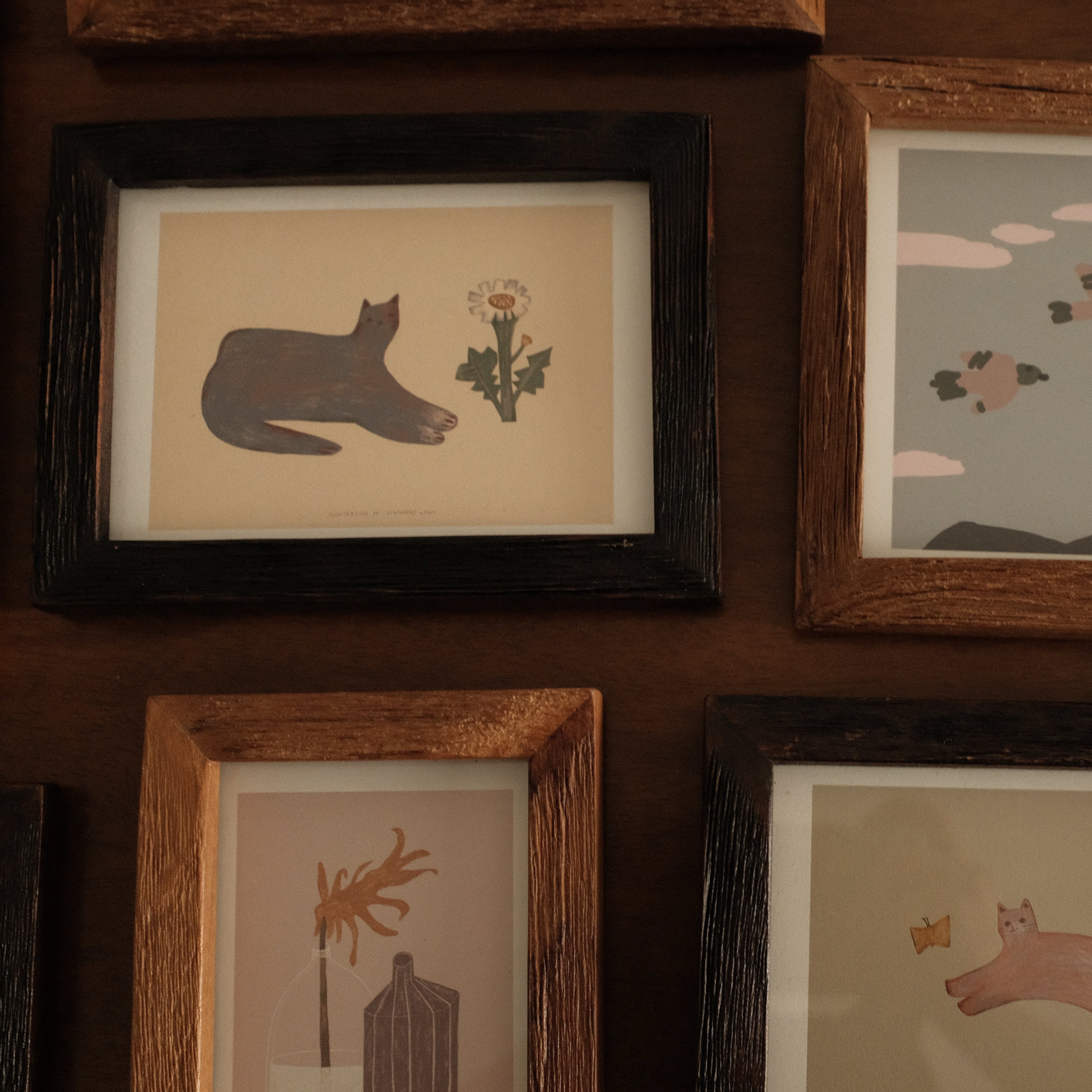Collection of teak wood framed illustrations on a wooden wall