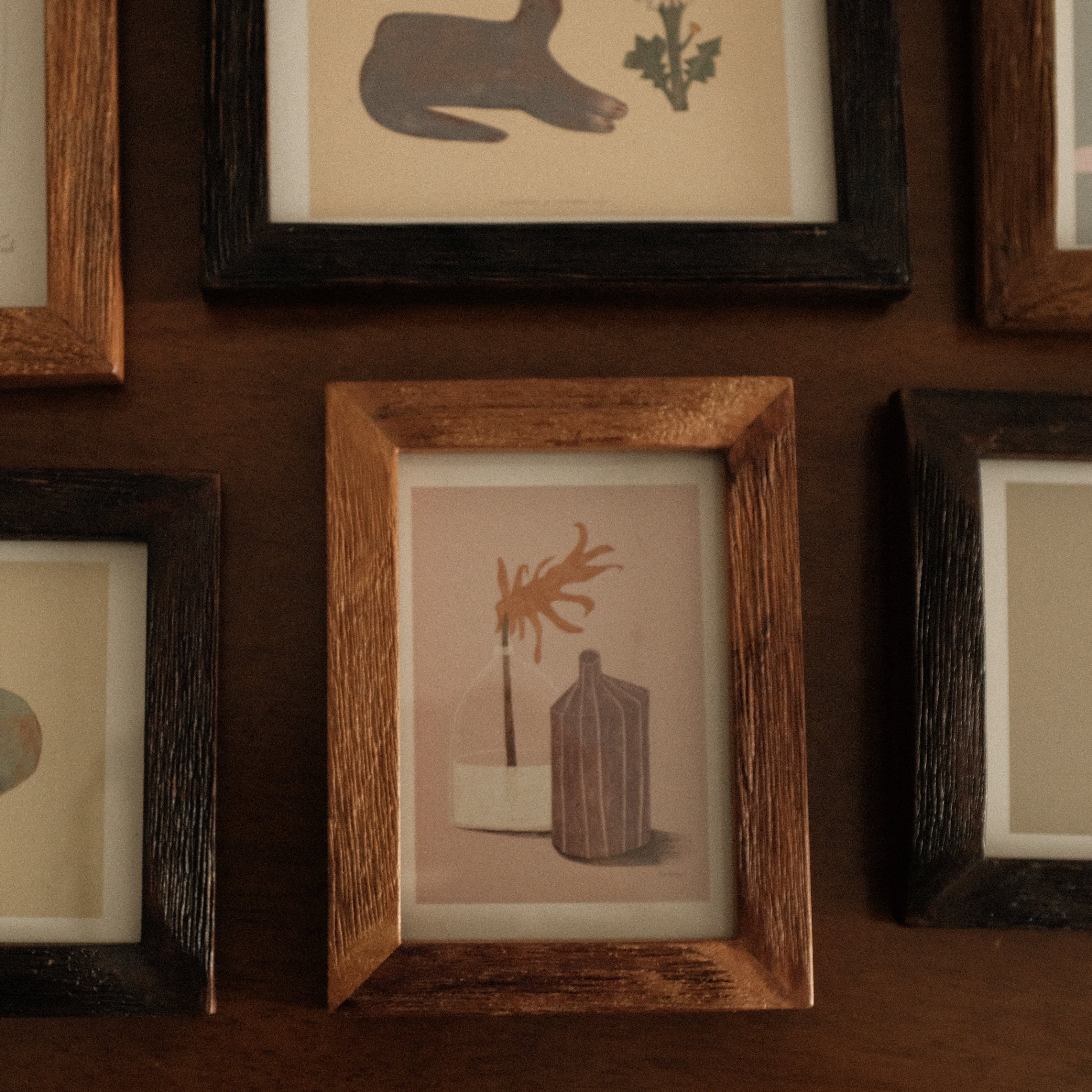 Collection of framed illustrations on a wooden surface