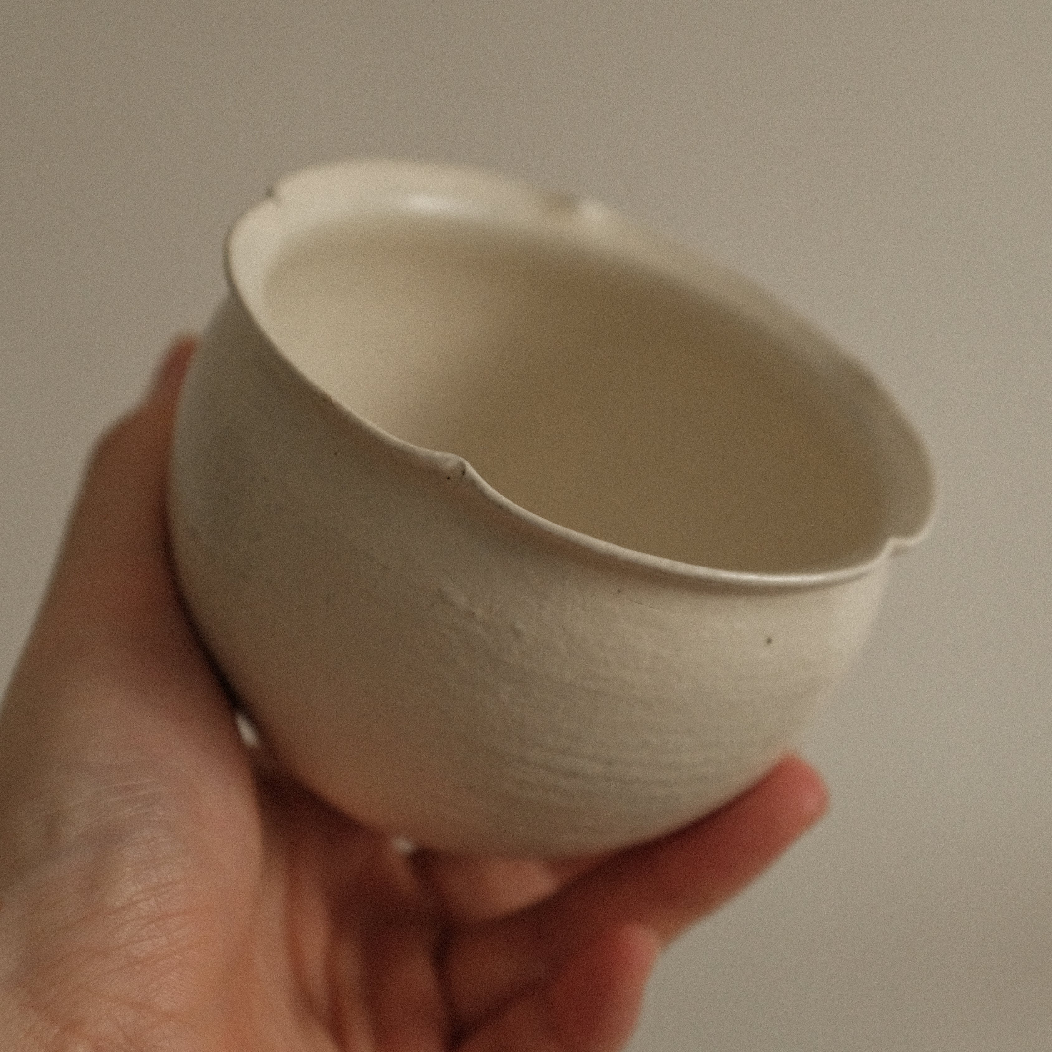 Hand holding a ceramic bowl against a neutral background