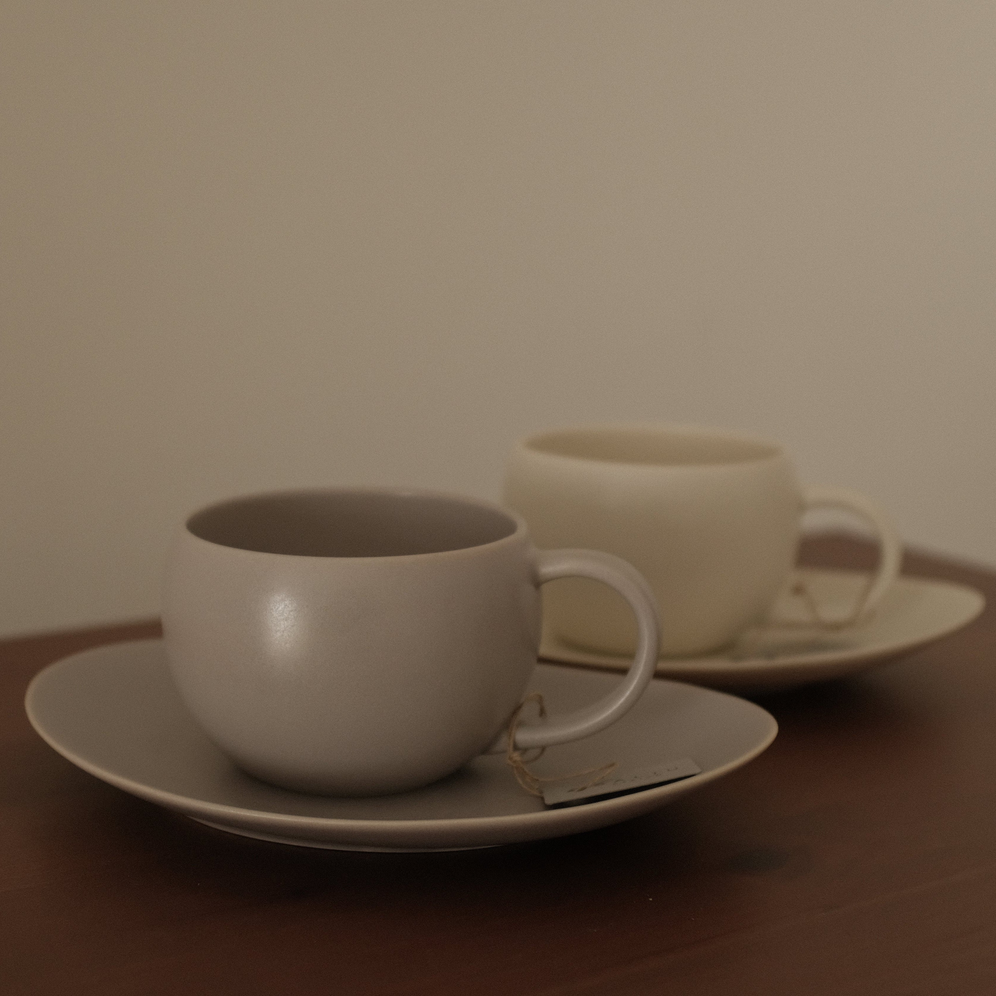 SALIU JAPAN Yui Mug and Tea Plate Gift Set Minoware