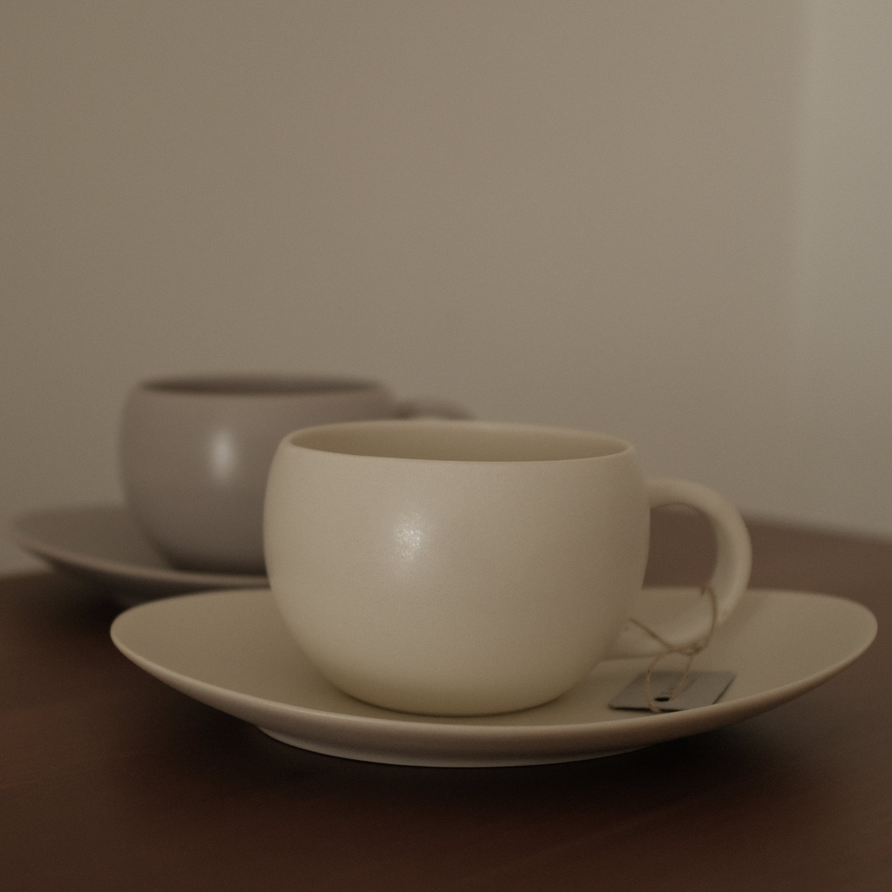 SALIU JAPAN Yui Mug and Tea Plate Gift Set Minoware