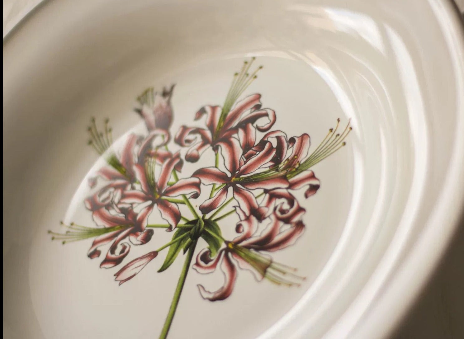 LA FLEUR Nerine Guernsey Lily Flower French Retro Plate