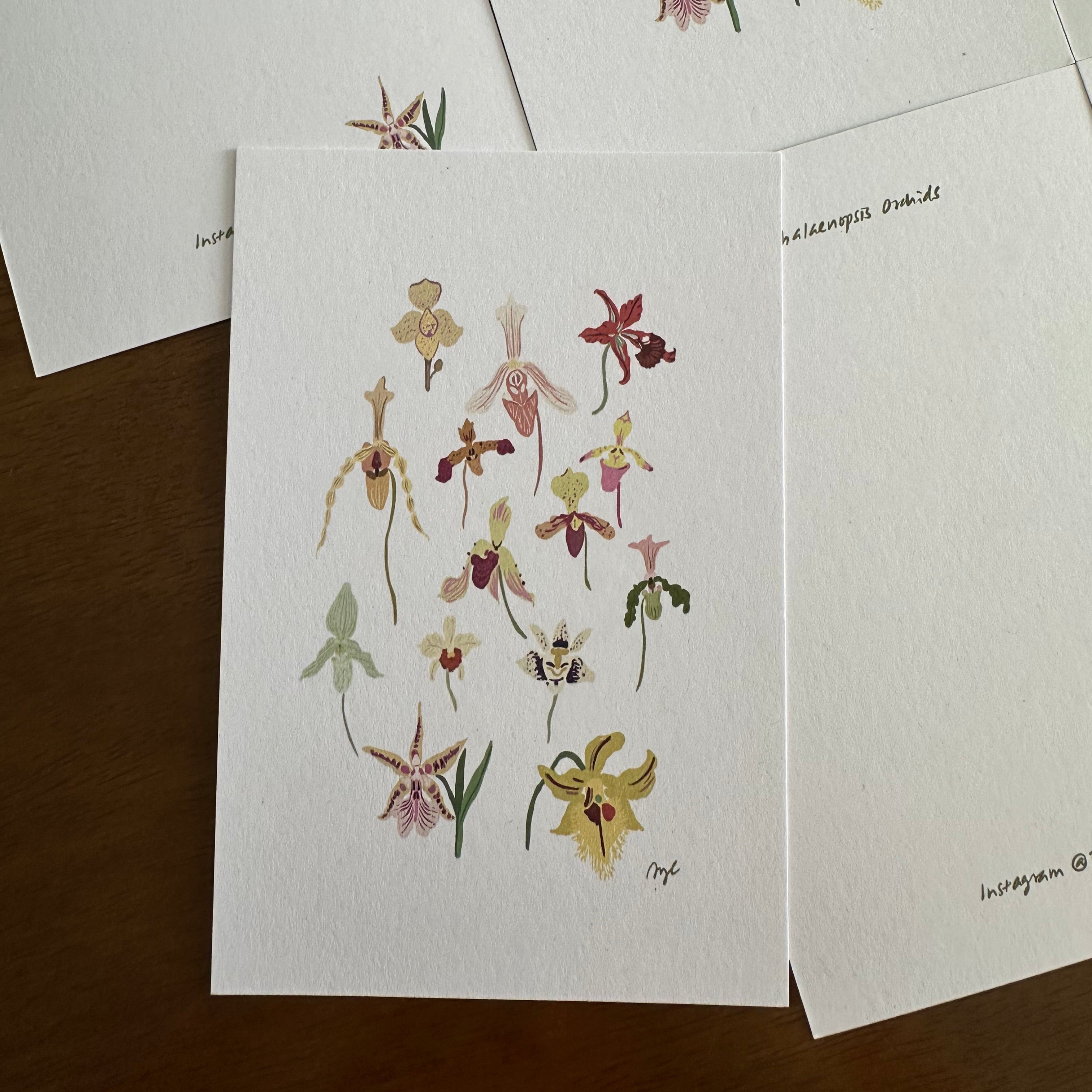 phalaenopsis orchid postcard art print