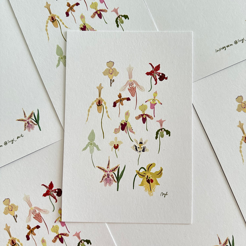 phalaenopsis orchid postcard art print