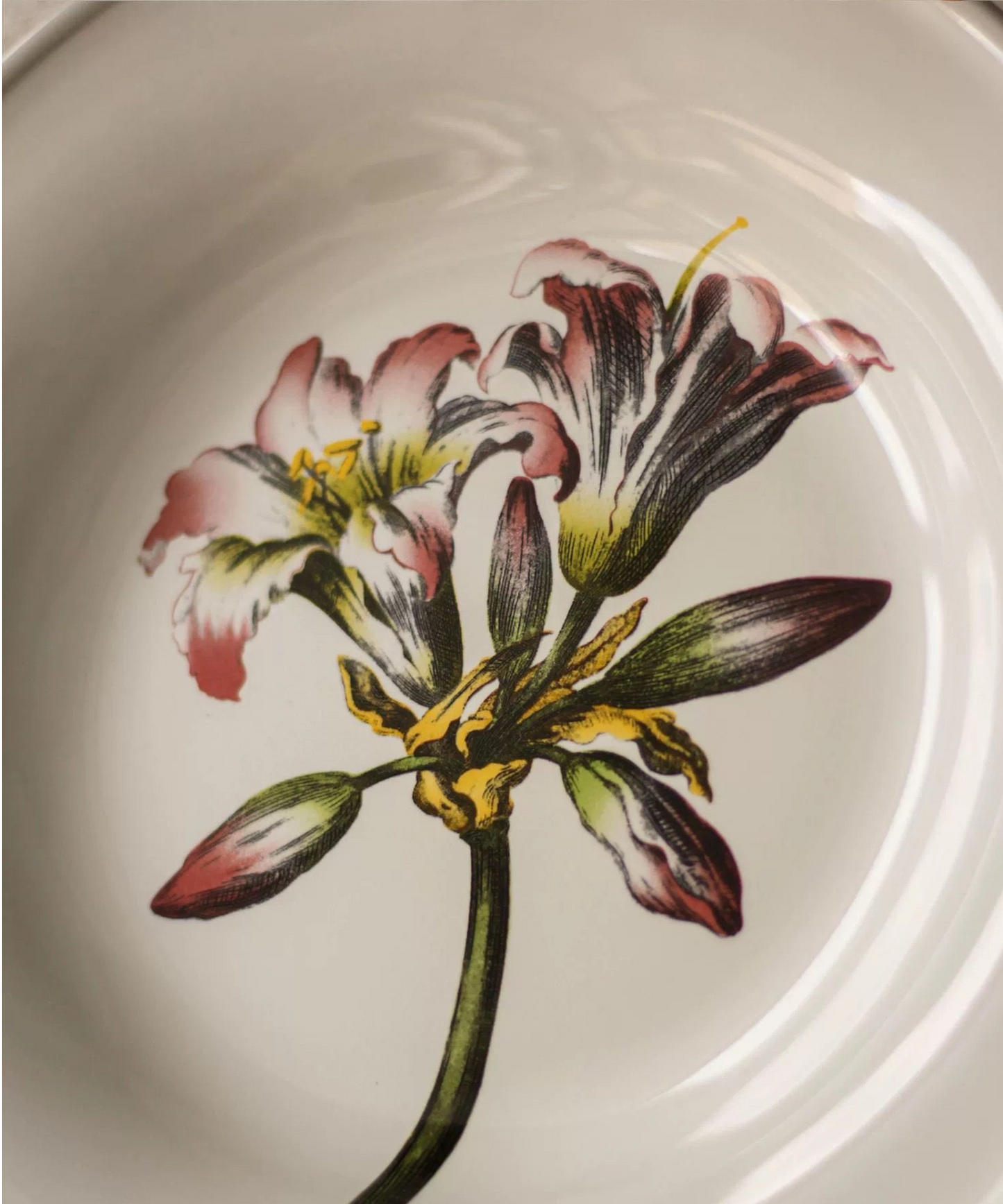 LA FLEUR Amaryllis Bella Donna Jersey Lily Flower French Retro Plate